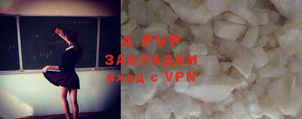кокс Касимов